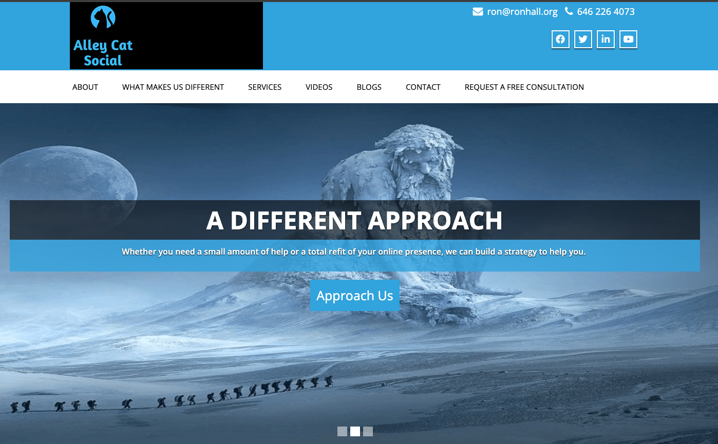 Alley Cat Social website preview