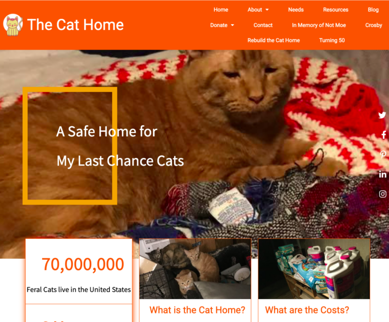 The Cat Home website preview